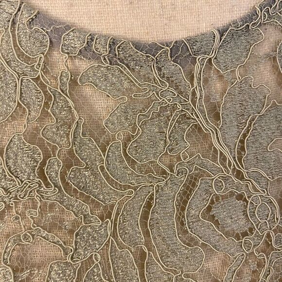 Ralph Lauren black label lace/silk dress, size 10 - Picture 3 of 11